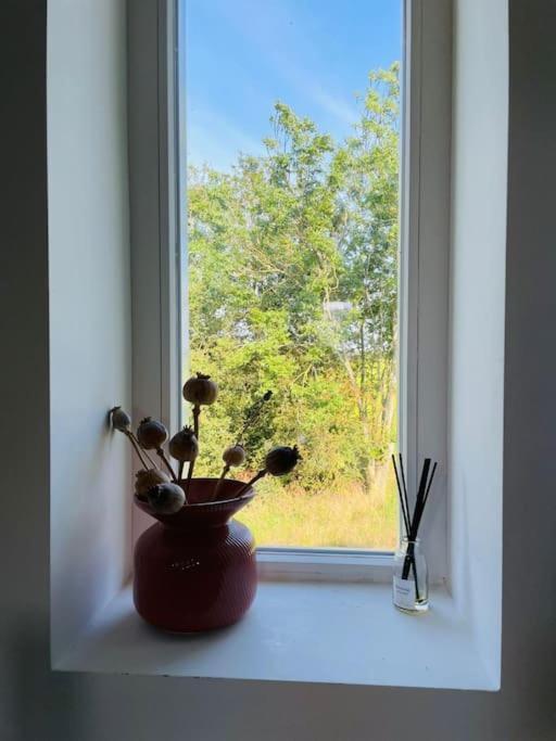 Cozy Appartment On The Farm Лунен ан де Вехт Екстериор снимка