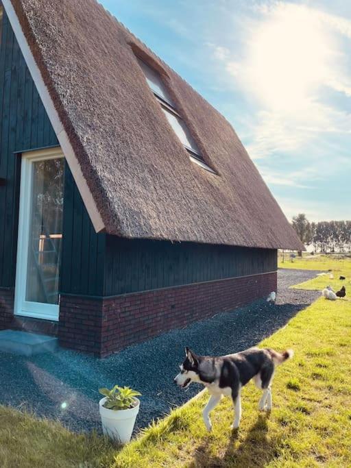 Cozy Appartment On The Farm Лунен ан де Вехт Екстериор снимка