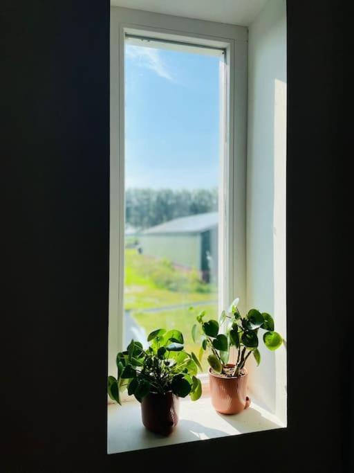 Cozy Appartment On The Farm Лунен ан де Вехт Екстериор снимка